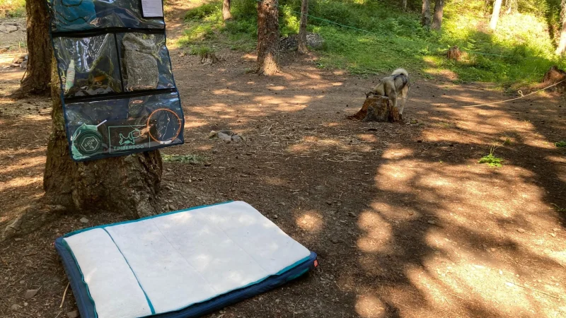 Camping with Pets: Advanced Gear, Safety Protocols, and Destination Guides for Dogs and Cats